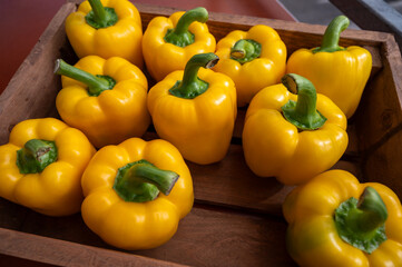 Fresh ripe yellow sweet bell paprika close up