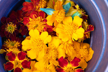 Metal pail of beautiful and colorful flowers