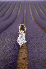 Fillette dans les champs de lavande