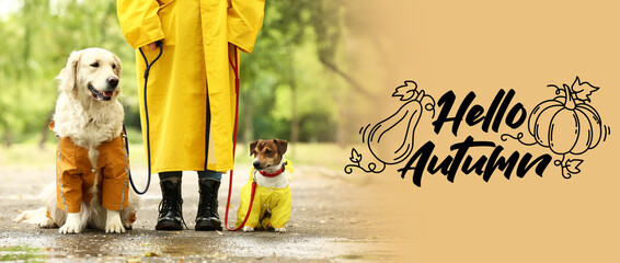 Banner with text HELLO AUTUMN, cute dogs and owner in raincoats outdoors © Pixel-Shot