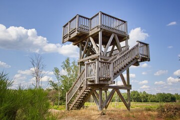 Wooden lookout tower on heathlands in the De Meinweg National Park, part of the Maas-Schwalm-Nette Park, Limburg region, the Netherlands