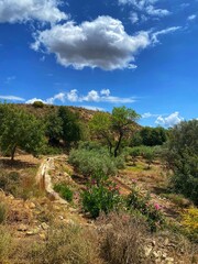 Landschaft bei Bedar, Almeria
