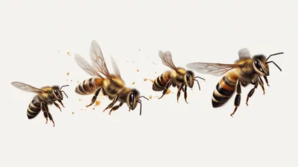 Fotobehang bees and honey © Alex