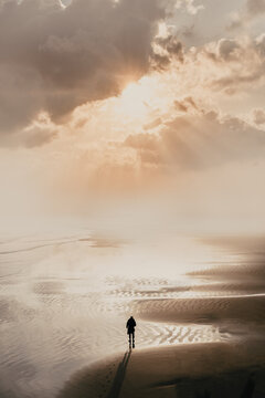 Person standing on desert dunes