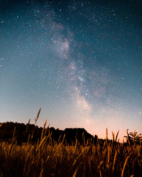 Yellow grass field under starry night sky