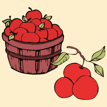 illustration of a basket of apples