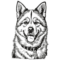 Akita dog engraved vector portrait, face cartoon vintage drawing in black and white realistic breed pet