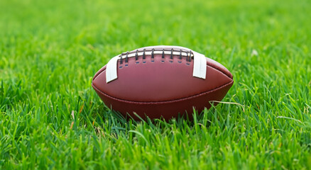American football ball on the grass