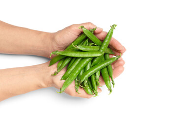 Pods of fresh green peas in hands on a white background, top view, close-up.