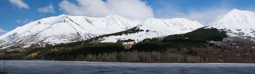 Snowy Tops
