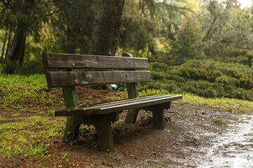 Portrait of a wooden bench in a park at a rainy day outdoors