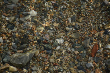 Small sea stones are visible from the clear water.