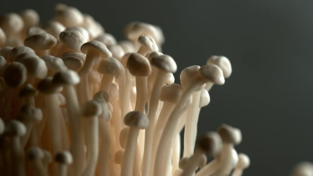 Enoki Mushroom, Close-Up Food Texture. 