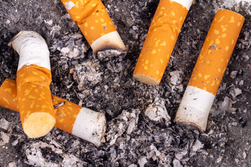 cigarette butts isolated on background