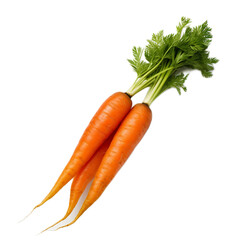 bunch of carrots isolated
