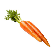 carrots on white background