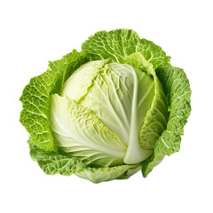 Fototapeta premium cabbage isolated on white background