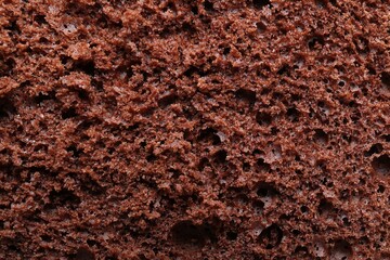 Tasty chocolate sponge cake as background, closeup