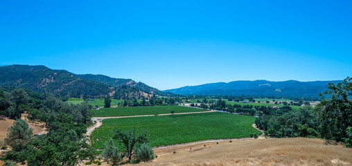 Fototapeta na wymiar landscape with mountains, trees and vineyard