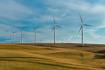 Wind Turbines in a Field