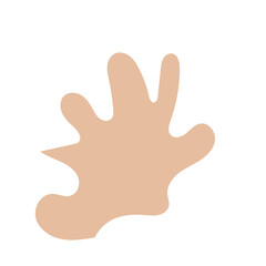 Obraz premium Boho Neutral Abstract Shapes 