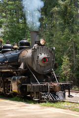 Fototapeta na wymiar Century old steam engine freight train