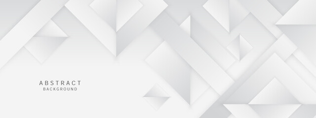 Abstract geometric white and gray color elegant background. vector illustration