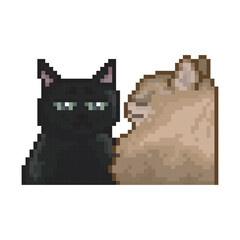 Black cat with sad look, pixel art meme