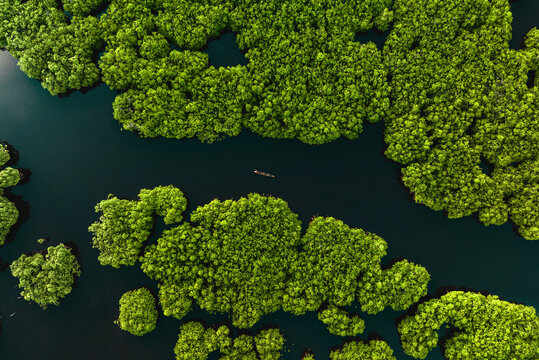 Aerial view of a long canoe sailing along the river estuary at Del Carmen Mangroves, Siargao, Philippines.
