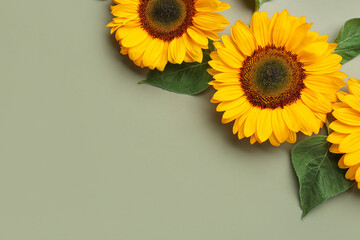 Beautiful sunflowers and leaves on green background