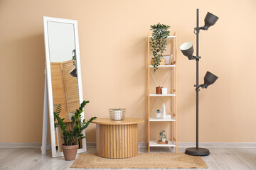 Coffee table, mirror, lamp, houseplant and shelving unit near beige wall