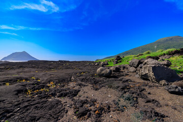 南原千畳岩海岸の溶岩台地と風景