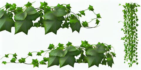 Hanging stems and leaves of a green liana plant in the form of a frame for text or inscriptions on an isolated white background. Generative AI