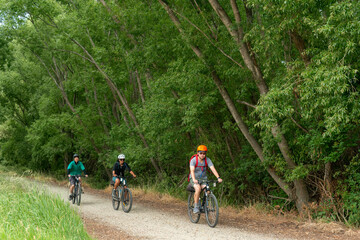Fototapeta premium Three cyclists riding the Otago Central Rail Trail, green trees along the trail. Central Otago. South Island.