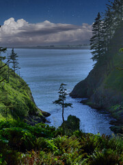 Long Beach Peninsula 