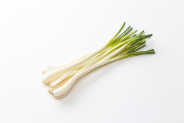 白背景に日本のエシャロット