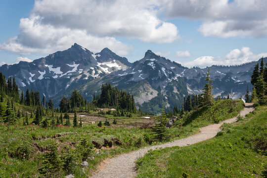 Hiking trail through the beautiful Pacific Northwest landscape of Mt. Rainier National Park with views of the Tatoosh Mountain range