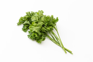 白背景のイタリアンパセリ