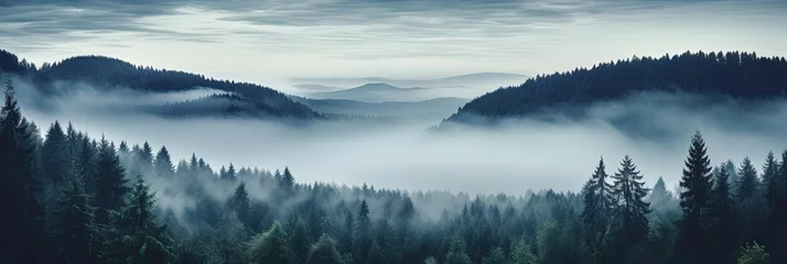 Photo sur Plexiglas Tatras Dark fog and mist over a moody forest landscape. Mountain fir trees with dreary dreamy weather. Blues and greens.