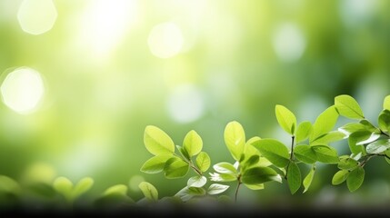 Fototapeta na wymiar green leaves on blurred background for text spring