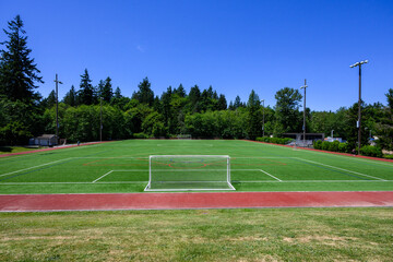 Fototapeta premium Artificial grass soccer and recreational sports field on a sunny summer day 
