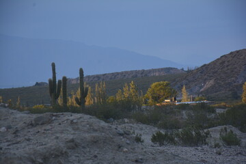 atardecer en la montaña de los valles calchaquies con cactus