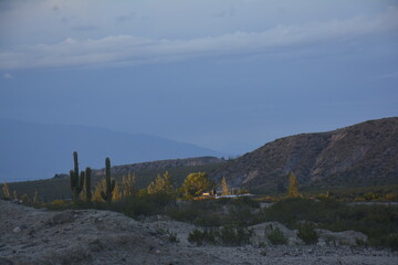 Fototapeta premium atardecer en la montaña de los valles calchaquies con cactus