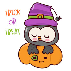 halloween owl with pumpkin jack o lantern