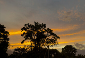 Golden sunset over the trees in the evening sky
