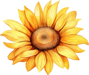 Sunflower watercolor illustration. Generative AI