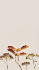 Autumn, fall vertical banner. Minimal aesthetic top view with dry flowers and seeds on beige background, copy space, nature autumnal decor, botanical still life, flat lay of natural materials