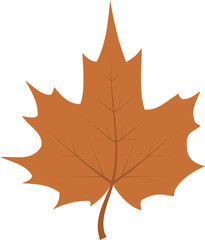 Maple leaf