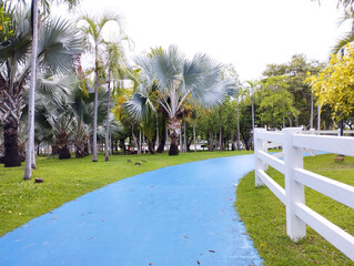 Blue road in the park. Blue corridor inside the park. Garden road, white fence and green lawn