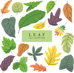Set of leaves ilustration design element in flat style vector
